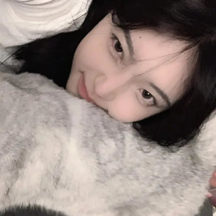 《鲨海47:猛鲨出笼》