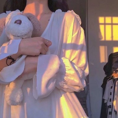 《蝙蝠侠:侠影之谜》